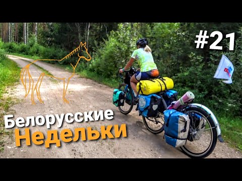 Видео: Велопутешествие по Беларуси. Налибокская пуща