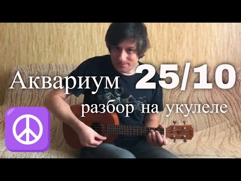 Видео: Антон Мизонов - Разбор укулеле кавера Аквариум 25 к 10