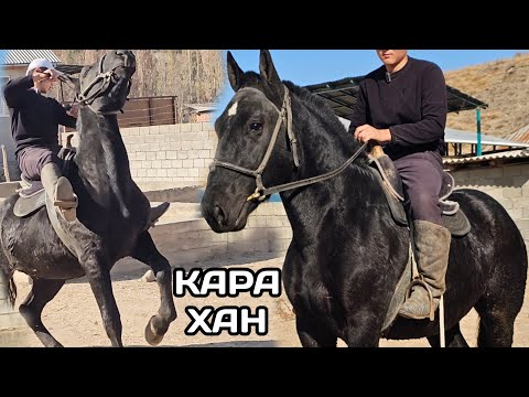 Видео: КАРА ХАН КУНАН