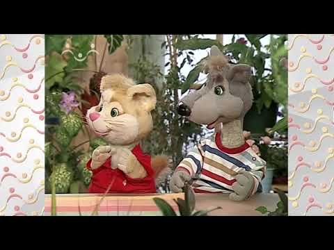 Видео: Шишкин Лес.  Зимний сад.  Бархатцы