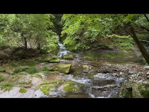 Видео: 4K Корея Треккинг🏞 в Rain🌂-Geomnyongso(исток реки Ханган,Taebaek в Канвондо) (июль 2021 г.) (EP.148)