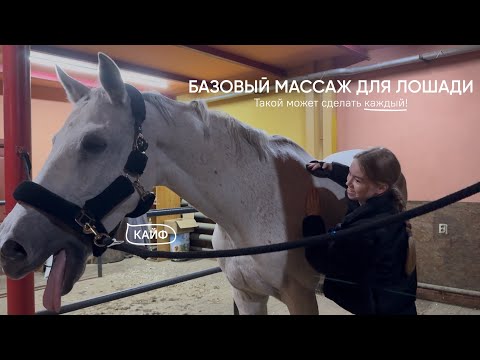 Видео: Простой МАССАЖ для лошади | Сможет сделать каждый