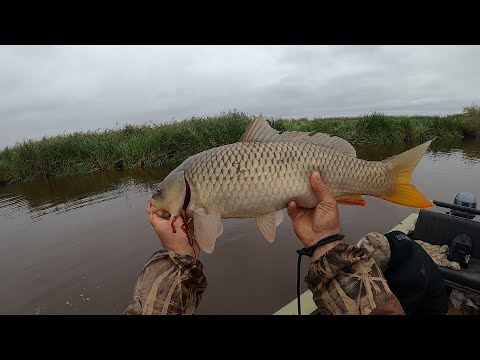Видео: Лучшая рыбалка на кастинговую сеть с лодки. Нашли много рыбы. Рыбачим вдвоём с сыном с лодки МКМ.