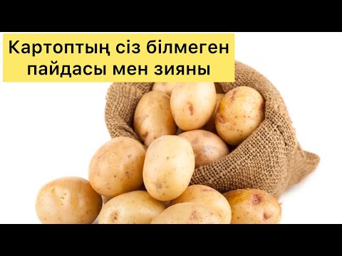 Видео: КАРТОПТЫҢ ПАЙДАСЫ МЕН ЗИЯНЫН БІЛДІҢІЗБА?! Біліп жүріңіз