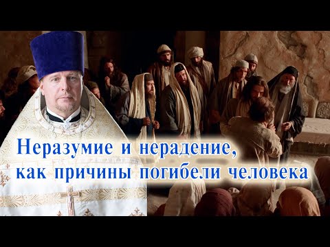 Видео: Неразумие и нерадение, как причины погибели человека. Проповедь священника Димитрия Лушникова.