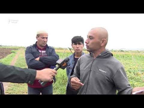 Видео: Баҳси "Боғи Сомон" бо гуруҳе аз деҳқонони Турсунзода