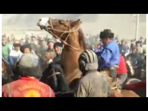 Видео: Искандар Бугунку улак Ноокат району