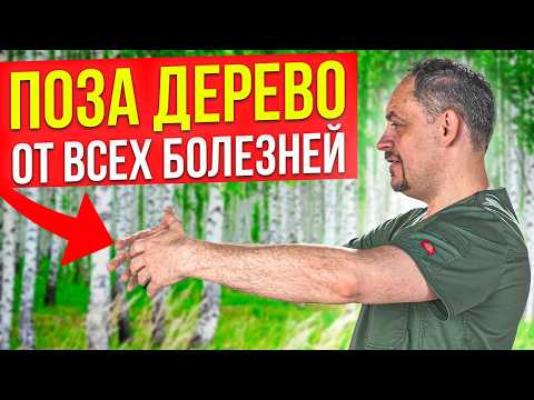 Видео: Поза "Дерево" - практика ТОТАЛЬНОГО ОЗДОРОВЛЕНИЯ организма