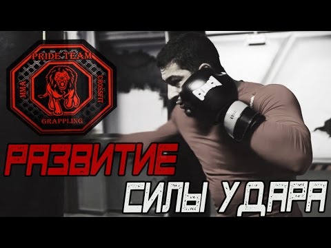 Видео: Развитие Силы Удара [Pride Team]