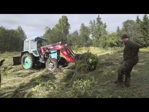 Видео: Корчуем поле на мтз82!! Присматриваем материал  для дaлнеишей стройке!!