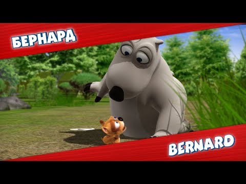 Видео: БЕРНАРД: Маленькая собачка 2 и многое другое | Подборка серий