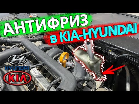 Видео: Антифриз KIA RIO и HYUNDAI SOLARIS 👈 какой, куда доливать, как проверить уровень