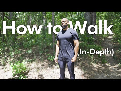 Видео: Как ходить (в ответ Бобу и Брэду) @BobandBrad Подробный ответ