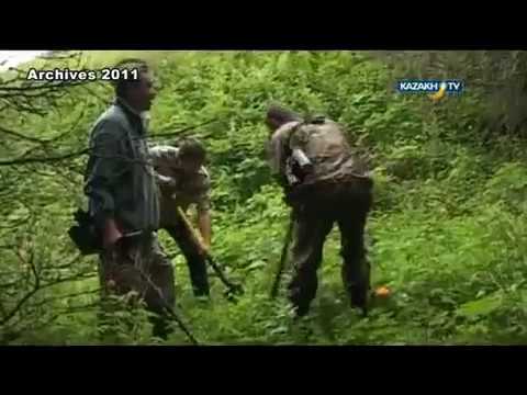 Видео: Клад атамана Анненкова. Джунгарский Алатау. Загадки истории