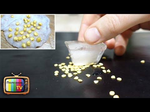 Видео: СЕМЕНА ПРОРАСТУТ ЗА НЕСКОЛЬКО ЧАСОВ! ВЫ ЭТОГО ТОЧНО НЕ ЗНАЛИ