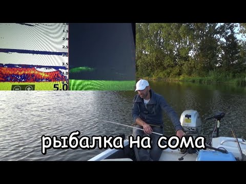 Видео: Рыбалка на сома после нереста Что делать, если сом поднимается, но не клюет ? #квок