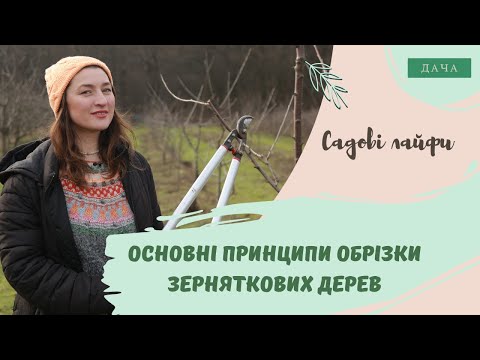 Видео: Основні Принципи Обрізки Зерняткових Дерев: Яблуні, Груші, Айва.