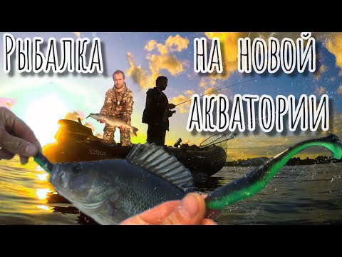 Видео: Рыбалка на джиг на новой для нас акватории.
