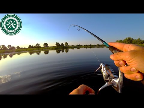 Видео: ЩУКА БЕЗ ЗУБОВ ! ПЕРВЫЙ РАЗ ТАКОЕ ВИЖУ ! Летний спиннинг 2024