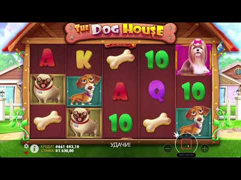 Видео: ПРОВЕРИЛ СЛОТ DOG HOUSE ! ПОЙМАЛ ТОПОВУЮ БОНУСКУ В DOG HOUSE MEGAWAYS !