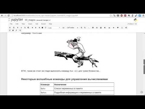 Видео: Волшебные команды Jupyter Notebook (Magics)