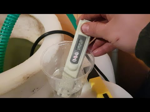 Видео: // КАК ПОДГОТОВИТЬ КЛУБНИКУ К ВЫСАДКЕ //