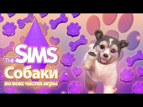 Видео: Я изучила собак в The Sims - ваши самые верные друзья 🐶🐾