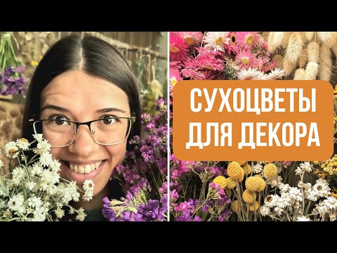 Видео: Как сушить СУХОЦВЕТЫ?🌸 Моя коллекция сухоцветов: от посадки до сушки (подробный процесс)