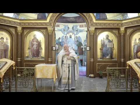 Видео: В СОВРЕМЕННОМ МИРЕ ЧЕЛОВЕК ТЕРЯЕТ РАЗУМ ПРОПОВЕДЬ ХРАМ СРЕТЕНИЯ ГОСПОДНЯ СПБ 9 НОЯБРЯ 2025 ГОДА 