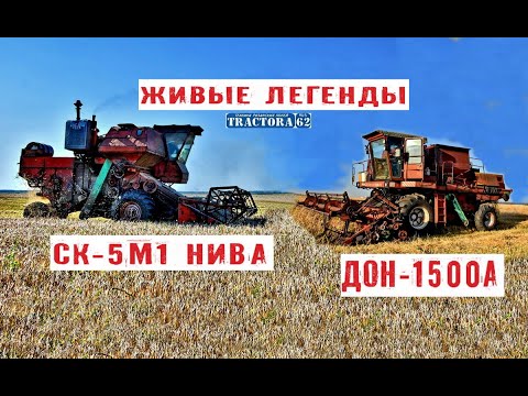 Видео: Комбайны НИВА СК-5М-1"  и ДОН-1500А