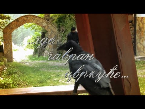 Видео: ... Где гавран цвркуће...