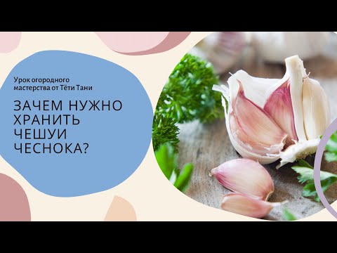 Видео: 708. Чешуи чеснока. Собирать всем. И смотреть зачем.