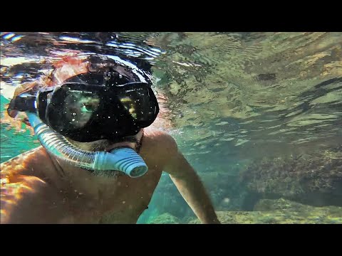 Видео: Натания подводная. Полная версия