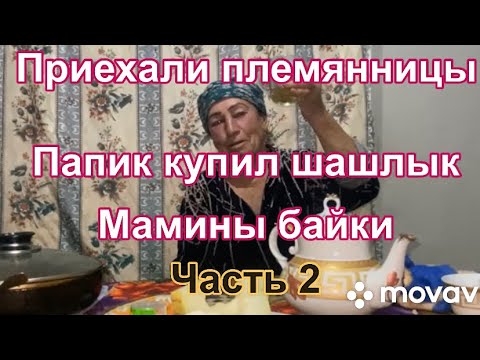Видео: Приехали племянницы Папик купил шашлык  Я простыла Мамины байки Часть 2🇹🇯
