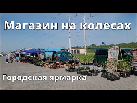 Видео: Как работает выездная точка продаж питомника Мир Флоры