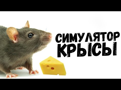 Видео: ВЕСЕЛЫЙ СИМУЛЯТОР КРЫСЫ