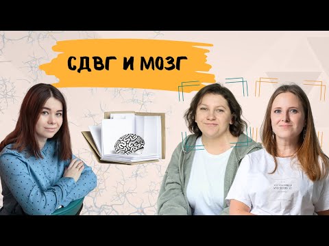Видео: Каковы особенности работы мозга при СДВГ? Меняется ли мозг с возрастом? И поможет ли нейропсихолог?