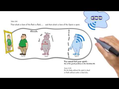 Видео: Андрю Уомак - Дух, душа и тяло