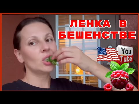 Видео: Big Big Family in the USA /Ленка в бешенстве /Обзор /Funny 4 /Лиса в Америке /Биг Биг Фэмэли 