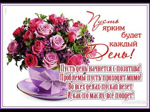 Видео: #Желаю #вам #много #радости и #хорошего #настроения и #тепла вам и  #позитивных #эмоций 