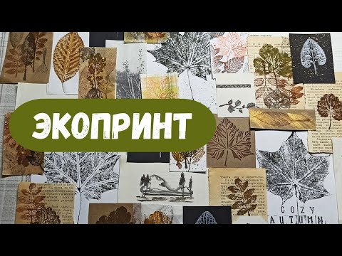 Видео: ЭКОПРИНТ Творчество и природные материалы # экопринт #арттерапия #творчество