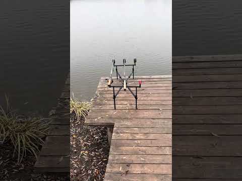 Видео: #рыбалка #осень