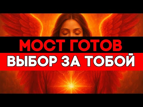 Видео: ИЗБРАННЫЙ, ЗВЁЗДНЫЙ МОСТ УЖЕ ГОТОВ — СМЕЛЫЕ ПЕРЕЙДУТ ПЕРВЫМИ 🚀🌌