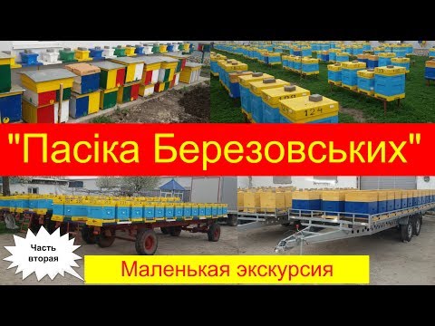 Видео: "Пасіка Березовських" - Экскурсия по пасеке 🇺🇦