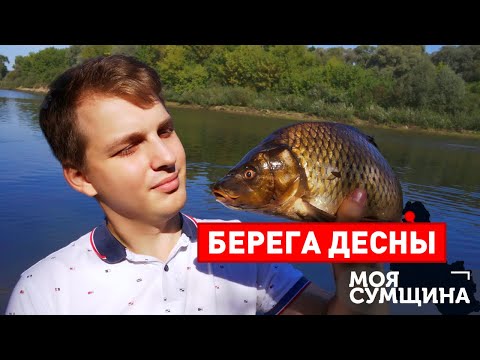 Видео: Берега Десны - Моя Сумщина (выпуск 12)