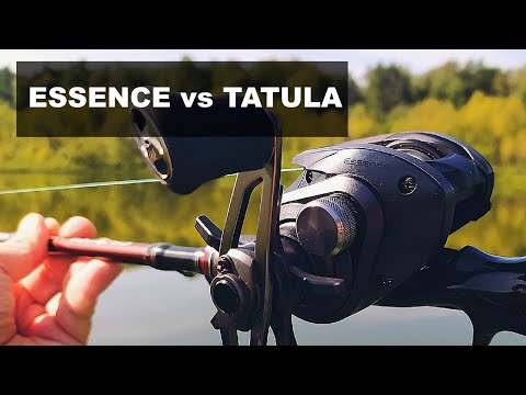 Видео: ЛУЧШИЙ БЮДЖЕТНЫЙ МУЛЬТИПЛИКАТОР 2024. Cadence Essence против DAIWA TATULA. Скиппинг и прочие забросы