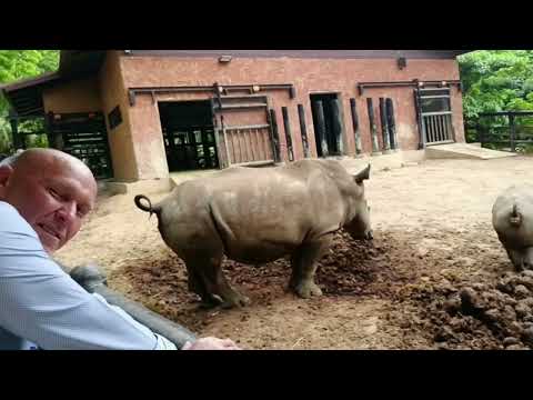 Видео: Зоопарк Кхао Кхео. Это нужно видеть.