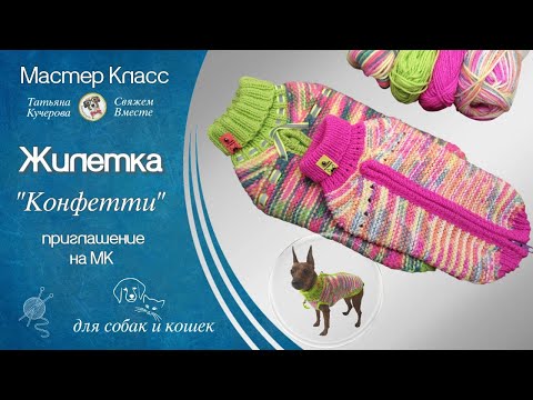 Видео: Ваш питомец будет умолять связать ему ЭТО (Мастер-класс 'Конфетти')