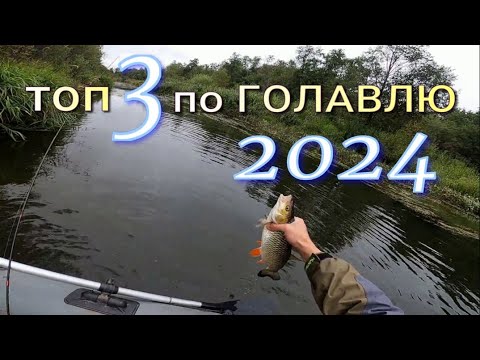 Видео: Топ 3 по Голавлю 2024