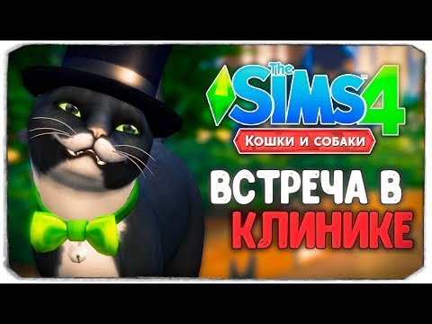 Видео: ВСТРЕЧА В ВЕТКЛИНИКЕ! - The Sims 4 "Кошки и Собаки" ▮